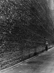 The Wall
