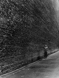 The Wall