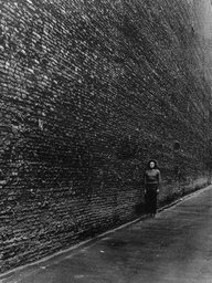 The Wall