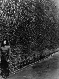 The Wall