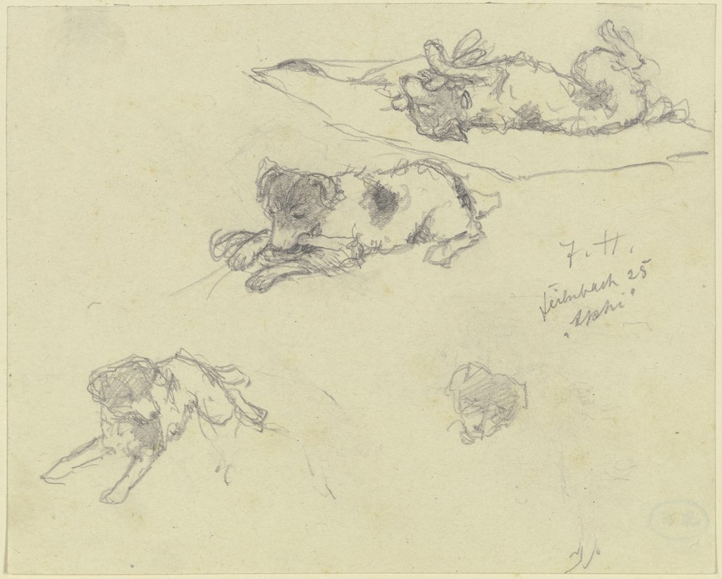 Three dog studies, Jacob Happ