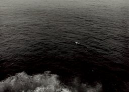 The World’s Edge, Á Beira do Mundo, Remembering Magellan - The Atlantic Ocean, Five Capes, Portugal : Cabo São Vincente - The North Atlantic Ocean - The southwesternmost point of Continental Europe. (#1) [6am] (Part 6)