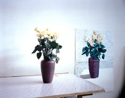 "Roses for Mother" December 4th 1995