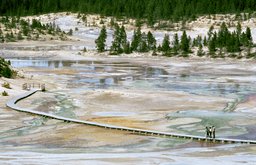 Jörg Sasse, 7127, 2003