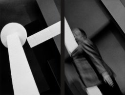 Transcendental Constructivism