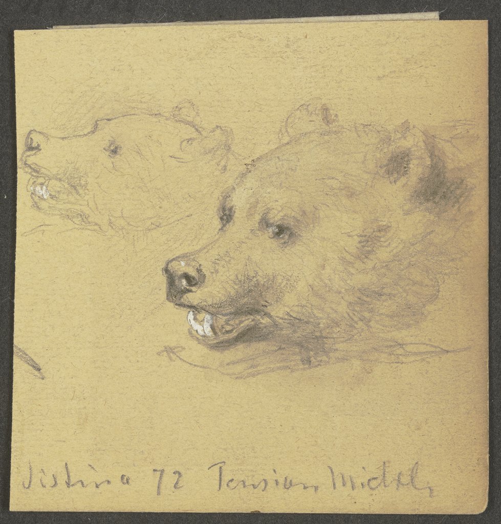 Zwei Bären, Wilhelm Amandus Beer