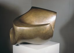 Die Muschel der Venus