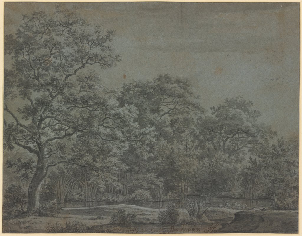 A pond in the forest, Joris van der Hagen