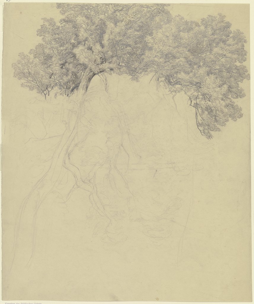 Treetops, Peter Becker