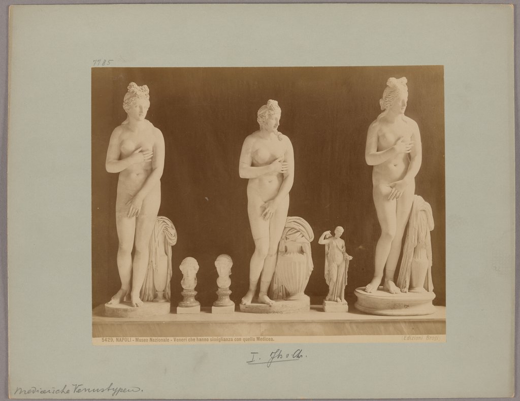Napoli: Museo Nazionale, Veneri che hanno simiglianza con quella Medicea, No. 5429, Giacomo Brogi