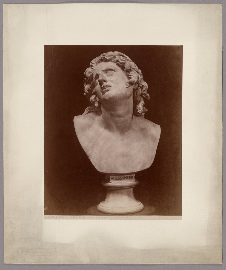 Firenze: Galleria Uffizi, Alessandro morente, testa colossale in marmo, No. 3223, Giacomo Brogi
