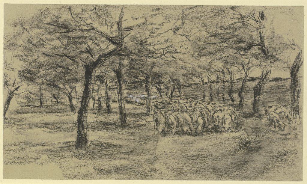 Flock of sheep on an avenue, Max Liebermann