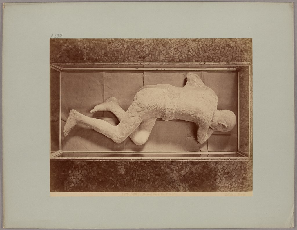 Pompeii: (Museum) Corpse of a man, No. 5579, Giacomo Brogi