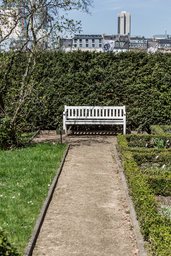 The Bench