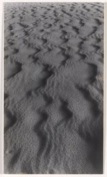 Gentle Rippling, from the series: The Courland Spit, Alfred Ehrhardt