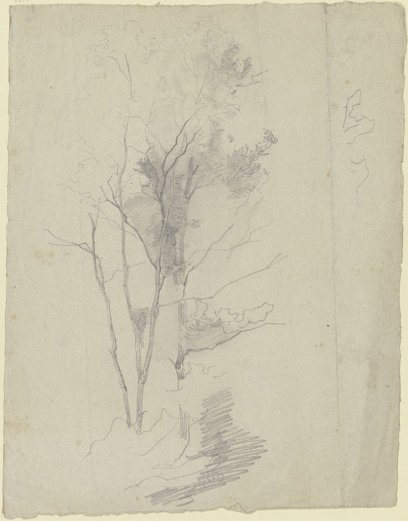 Bare and leafy tree, Victor Müller