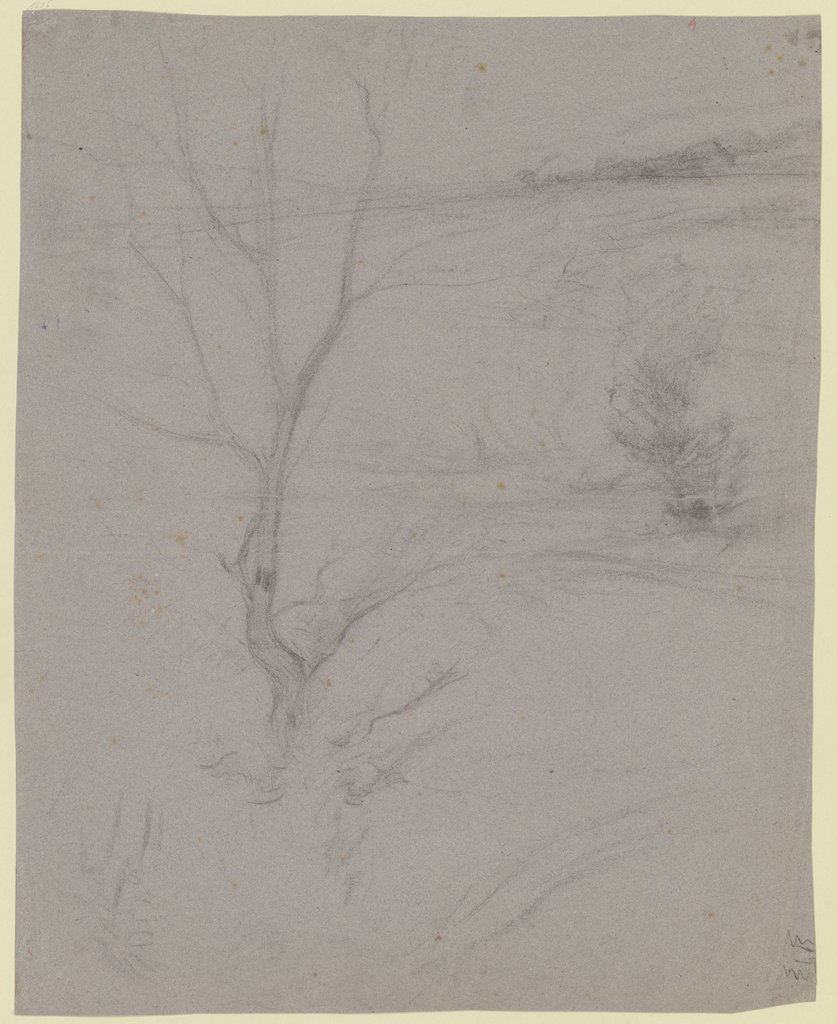 Leafless tree, Victor Müller
