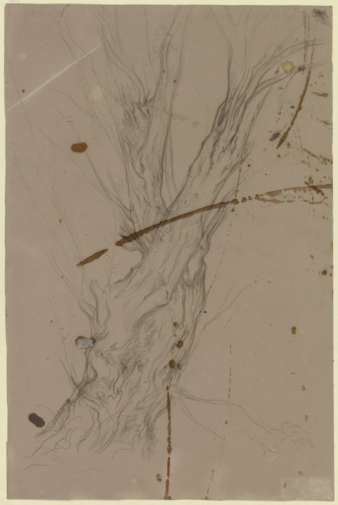 Study of a tree, Victor Müller
