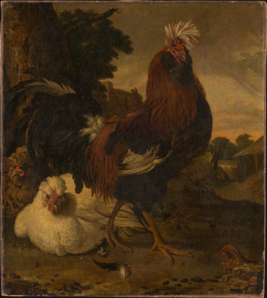 Cock in a Barnyard, copy after Melchior de Hondecoeter