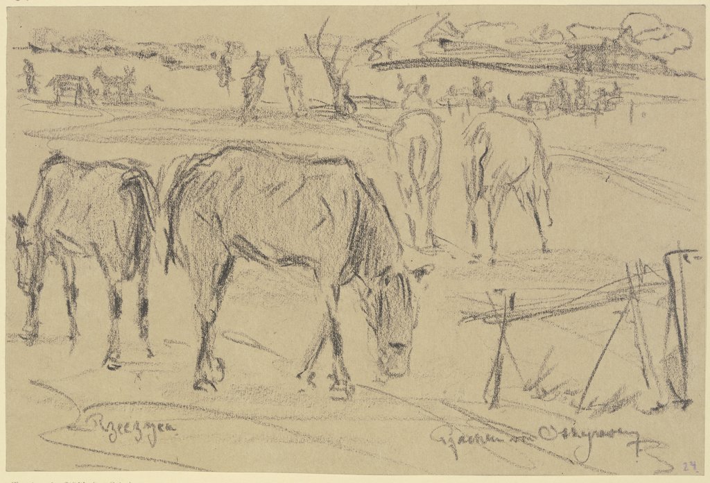 Weidende Pferde in Rzeczyca, Russisch-Polen, Reinhard Pfaehler von Othegraven