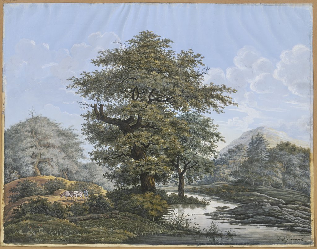Baumreiche Landschaft, in der Mitte eine Eiche am Ufer eines Flusses, Johann David Passavant