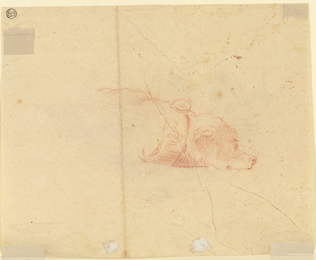 A dog's head, Johann Heinrich Roos