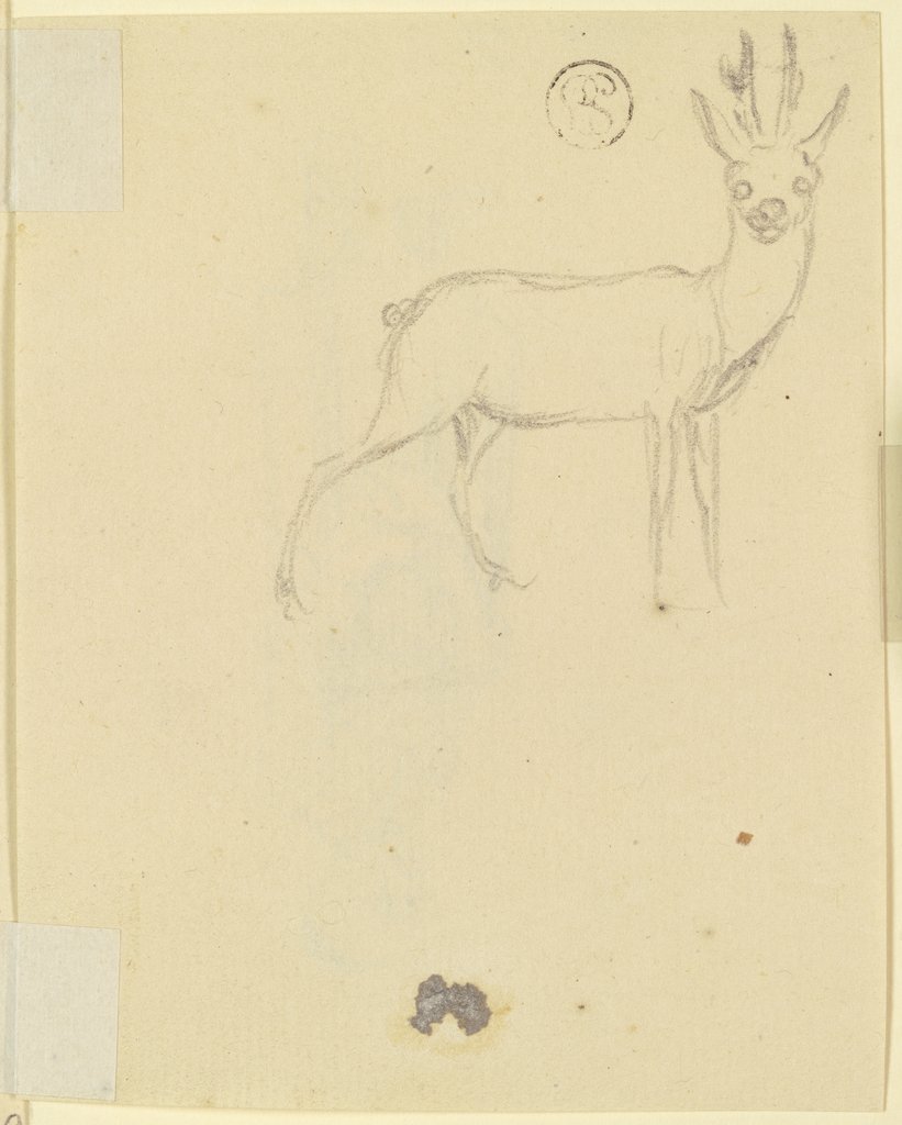 Deer, Daniel Chodowiecki