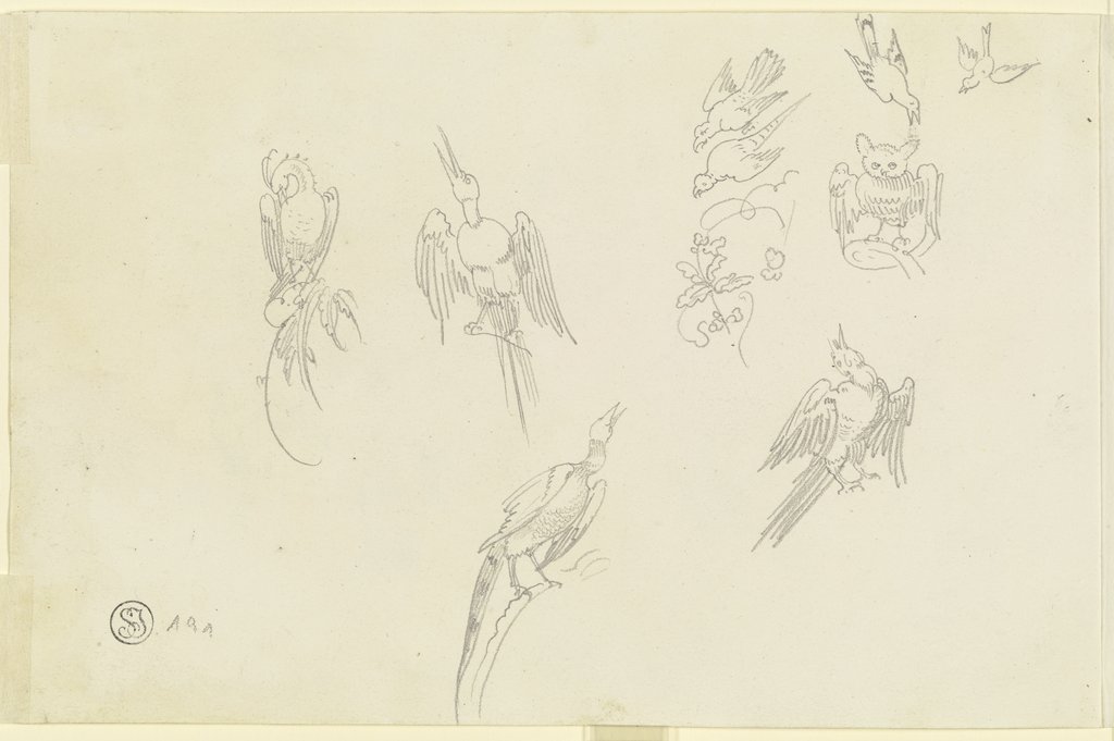 Different birds, Carl Philipp Fohr