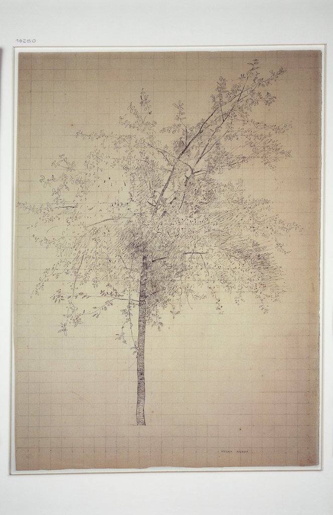 A tree, Odilon Redon