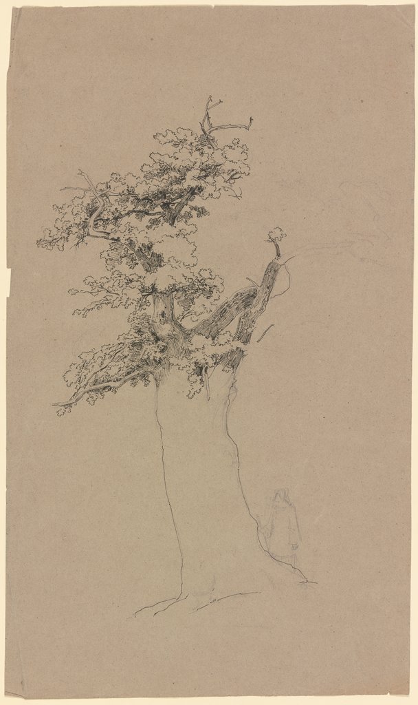 Old tree, Carl Theodor Reiffenstein