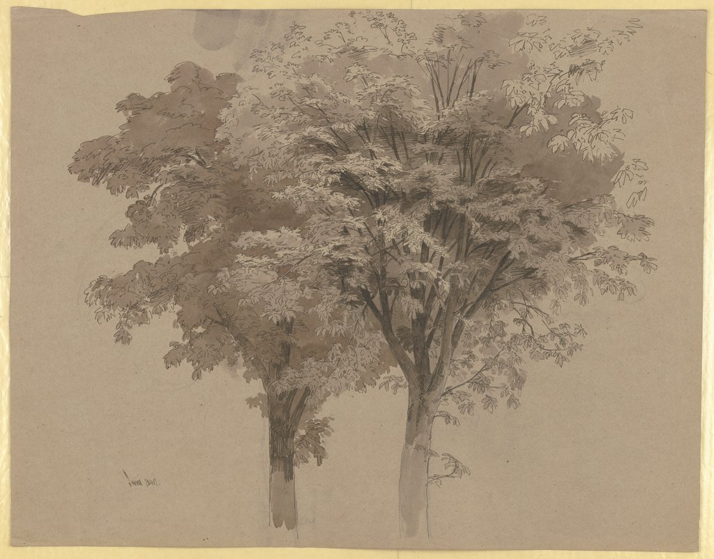 Two trees, Carl Theodor Reiffenstein
