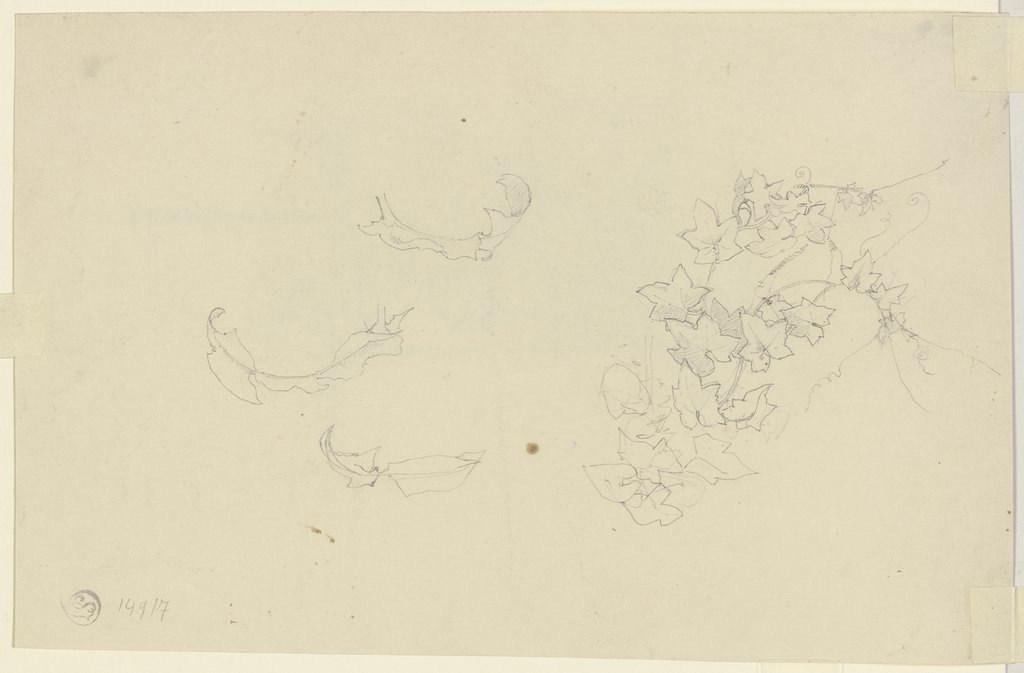 Efeu, Jakob Becker