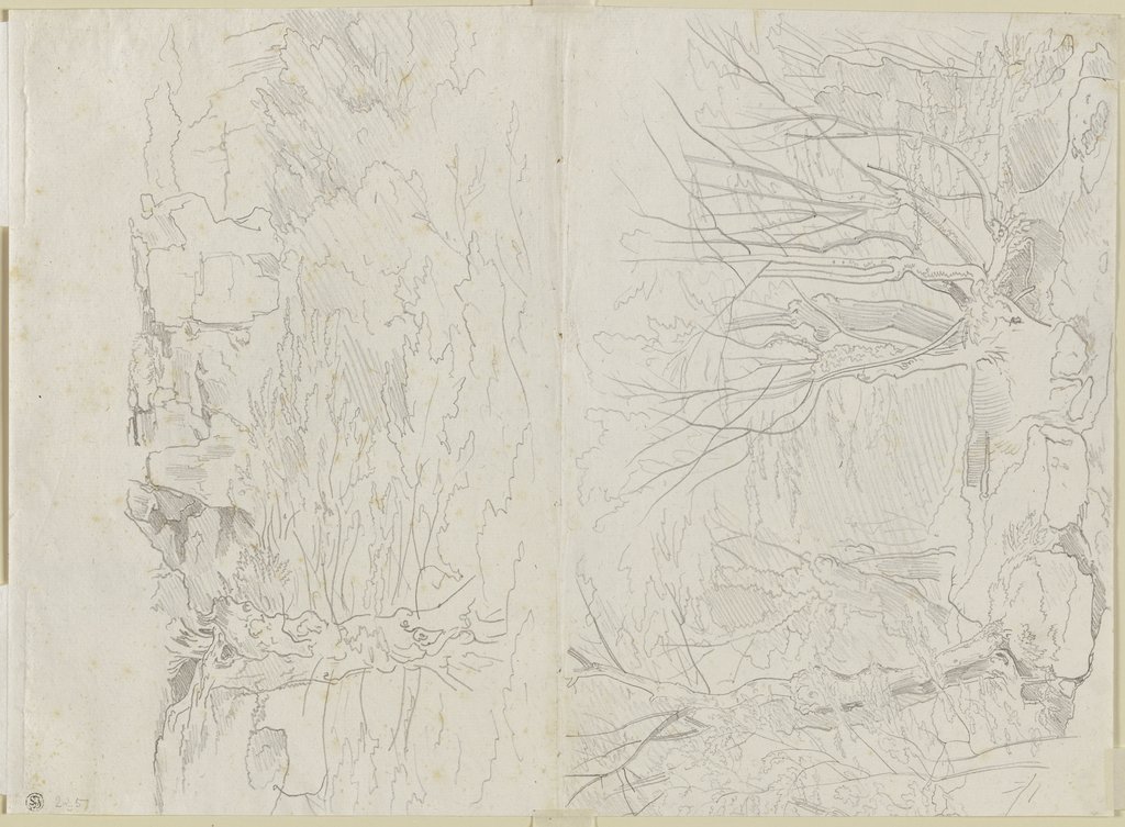 Zwei Landschaften, Waldinneres mit Geröll, Weiden und anderen Bäumen, Carl Philipp Fohr