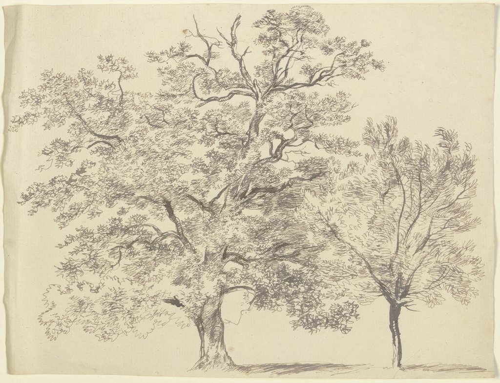 Ein alter und ein junger Baum, Franz Innocenz Josef Kobell