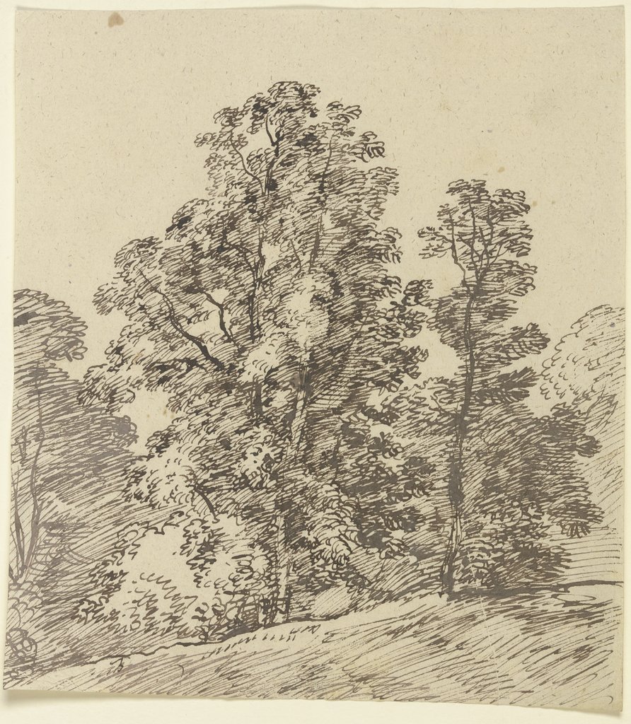 Bäume am Rande eines sanften Abhangs, Franz Innocenz Josef Kobell