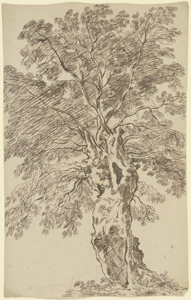 Old tree, Franz Innocenz Josef Kobell