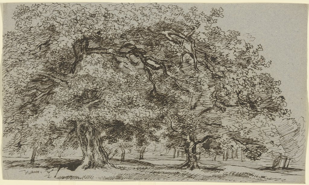 Trees on a meadow, Franz Innocenz Josef Kobell