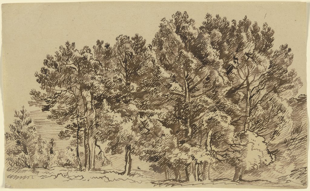 A grove, Franz Innocenz Josef Kobell