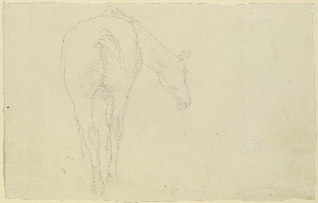 Pferd in Rückansicht, den Kopf nach rechts geneigt, Wilhelm Rietschel