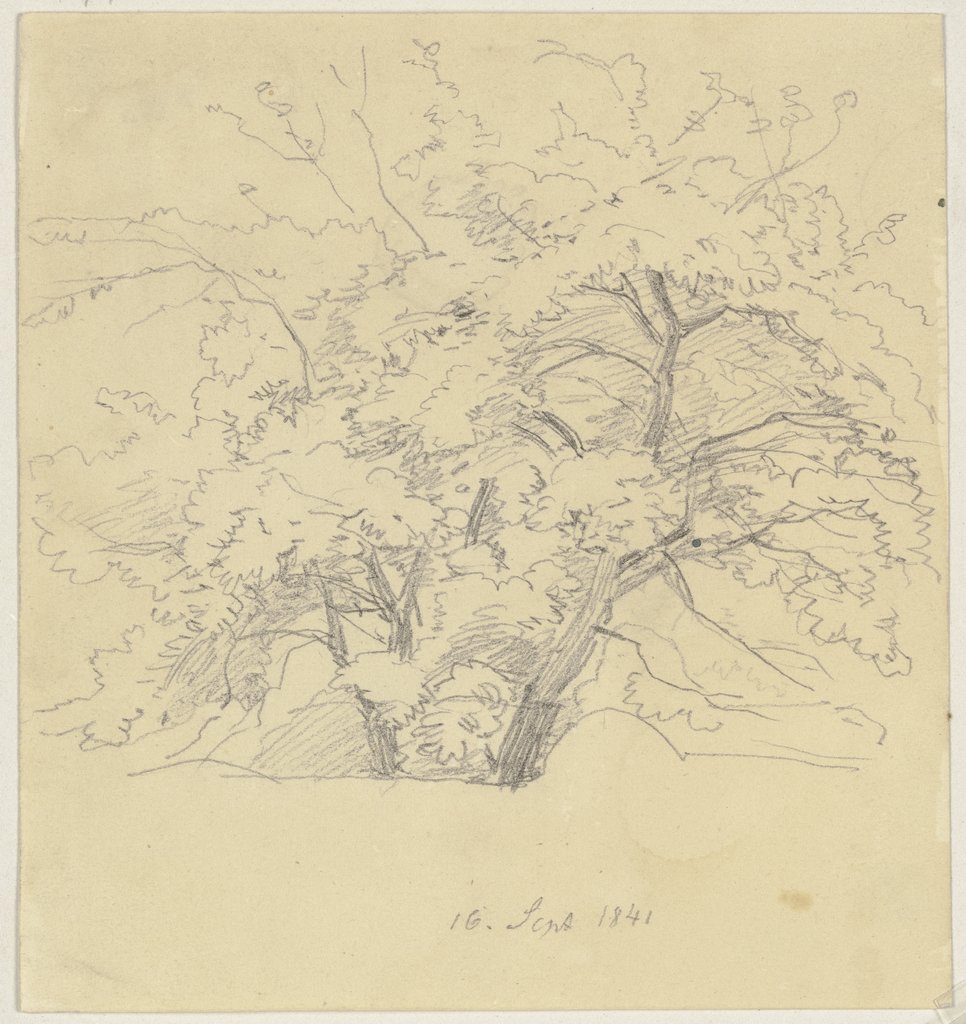 Tree (fragment), Jakob Becker