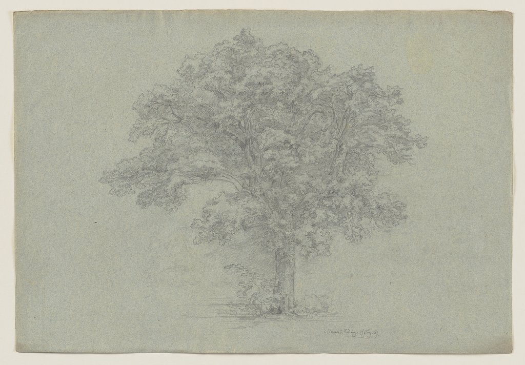 Tree, Ludwig Metz