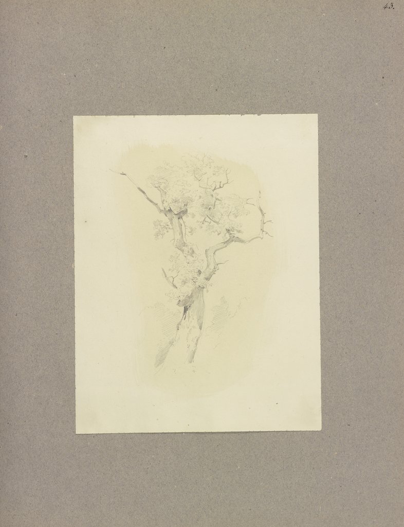 Klebebände, Band 5, Seite 43, Carl Theodor Reiffenstein