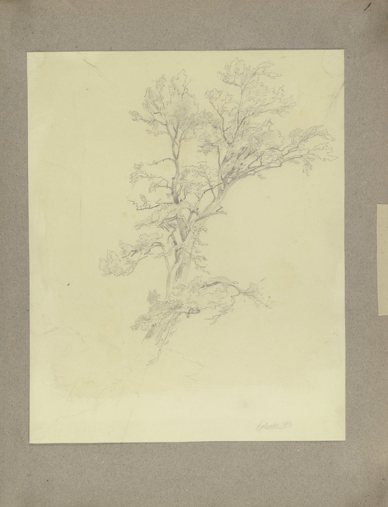 Klebebände, Band 3, Abteilung 3, Seite 1 [153], Carl Theodor Reiffenstein