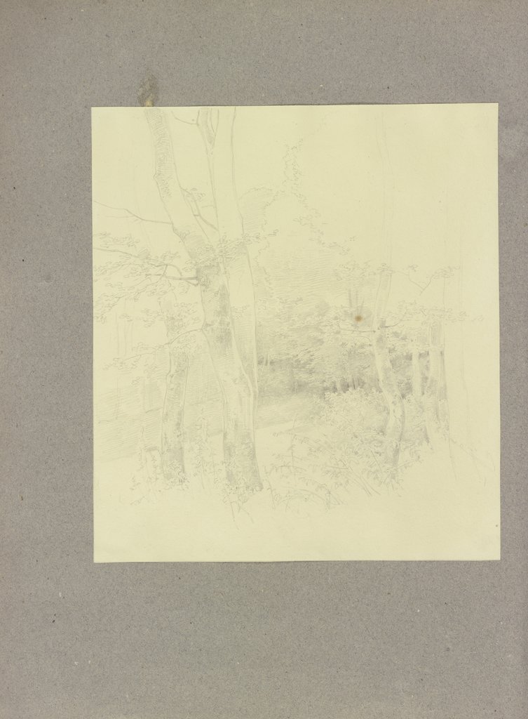 Klebebände, Band 13, Seite 88, Carl Theodor Reiffenstein
