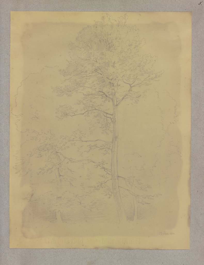 Klebebände, Band 14, Seite 5, Carl Theodor Reiffenstein