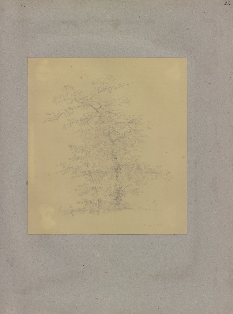 Klebebände, Band 14, Seite 21, Carl Theodor Reiffenstein