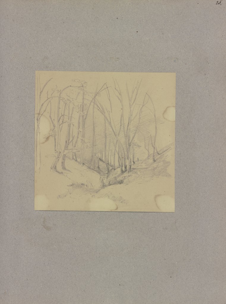 Klebebände, Band 14, Seite 25, Carl Theodor Reiffenstein