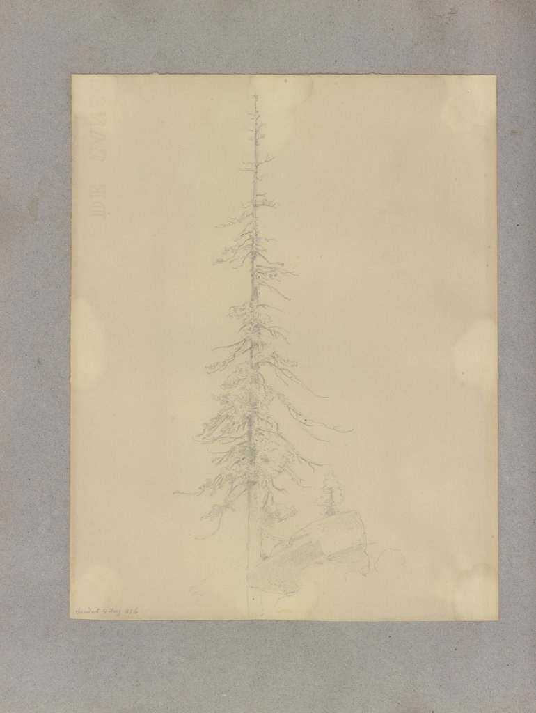 Klebebände, Band 16, Seite 40, Carl Theodor Reiffenstein