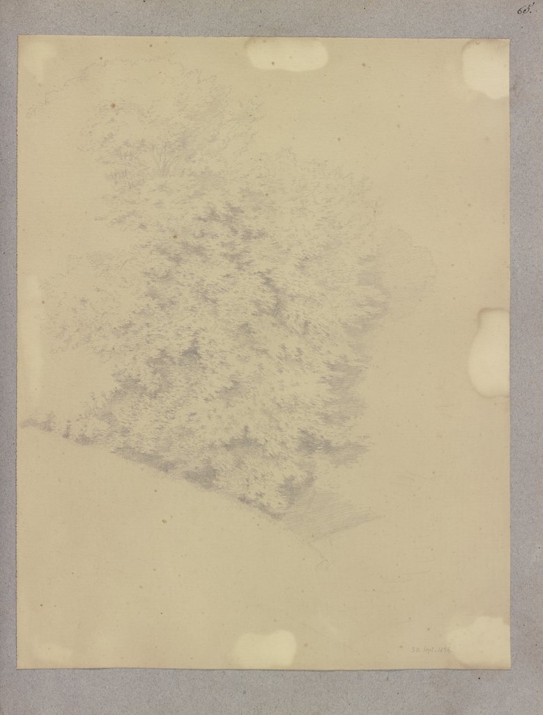 Klebebände, Band 16, Seite 65, Carl Theodor Reiffenstein