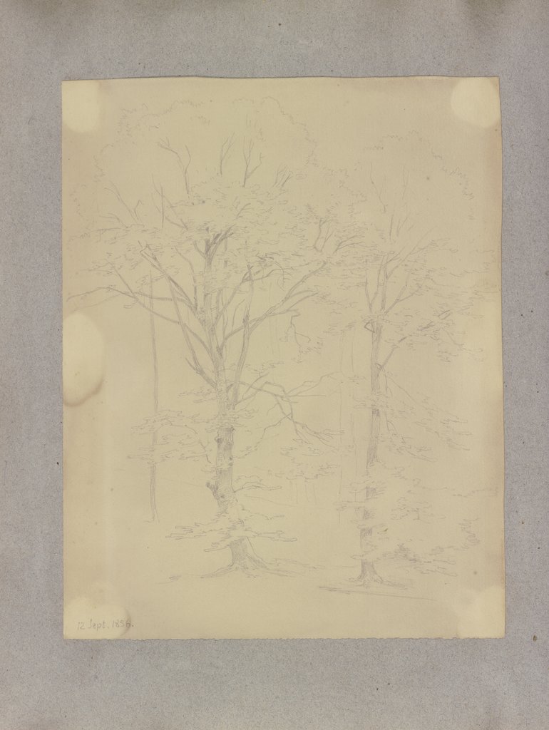 Klebebände, Band 16, Seite 78, Carl Theodor Reiffenstein
